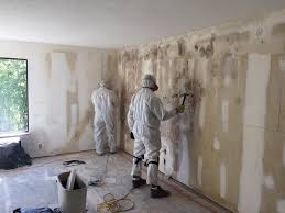 Best Mold Damage Restoration  in Hillsboro, MO